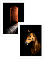 Clair-Obscur - Poster Seti Duo