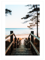 Natural Light - Poster Seti Duo