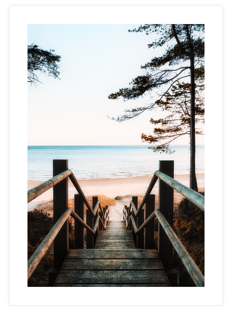 Natural Light - Poster Seti Duo