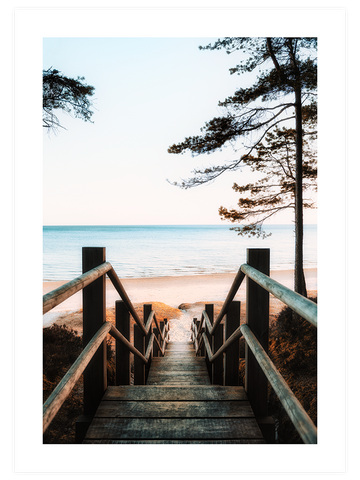 Natural Light - Poster Seti Duo