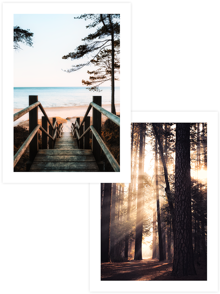 Natural Light - Poster Seti Duo