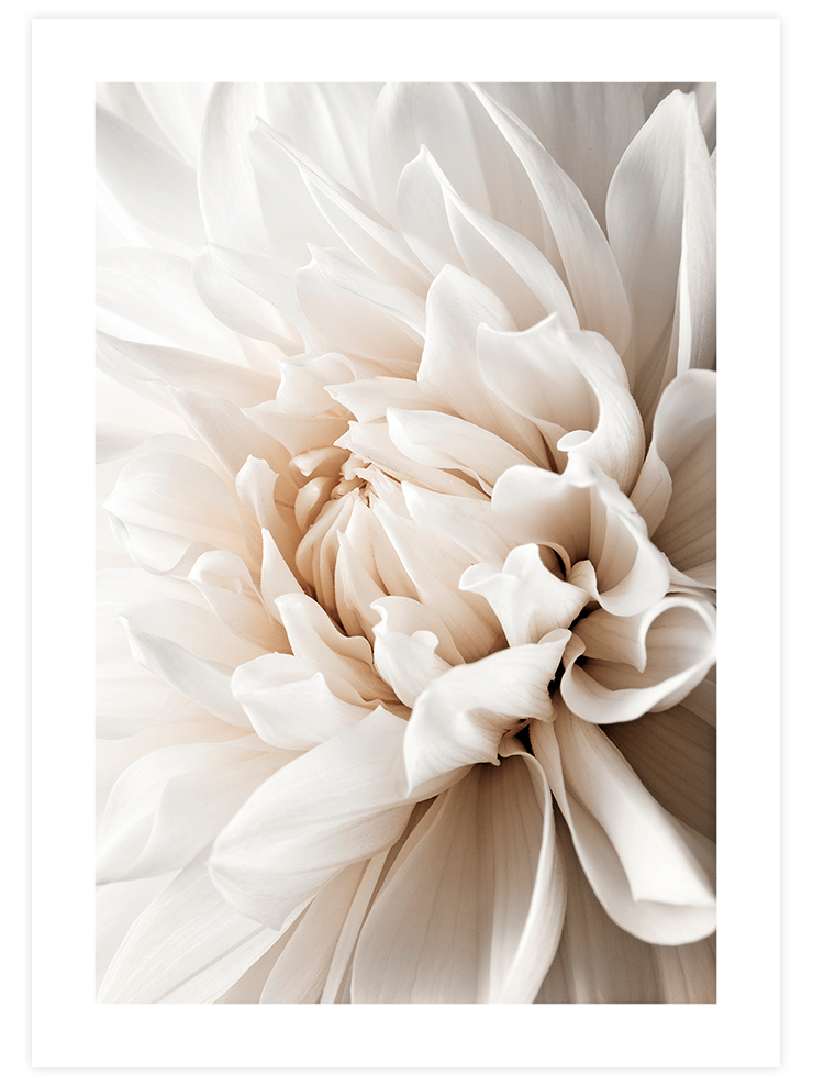 Brown & Beige - Poster Seti Duo  Poster