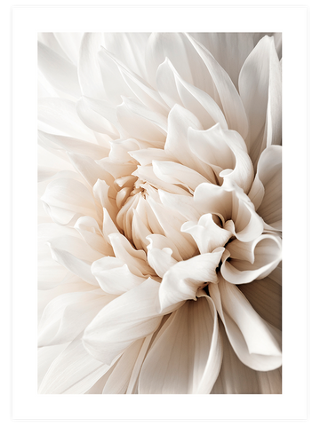 Brown & Beige - Poster Seti Duo
