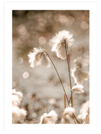 Peaceful Touch - Poster Seti Duo