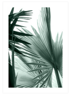 Estetizm - Poster Seti Duo