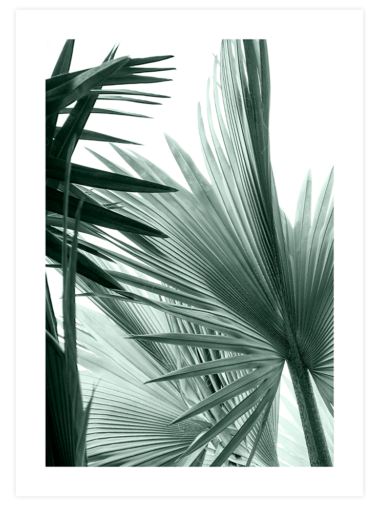 Estetizm - Poster Seti Duo