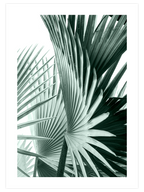 Estetizm - Poster Seti Duo