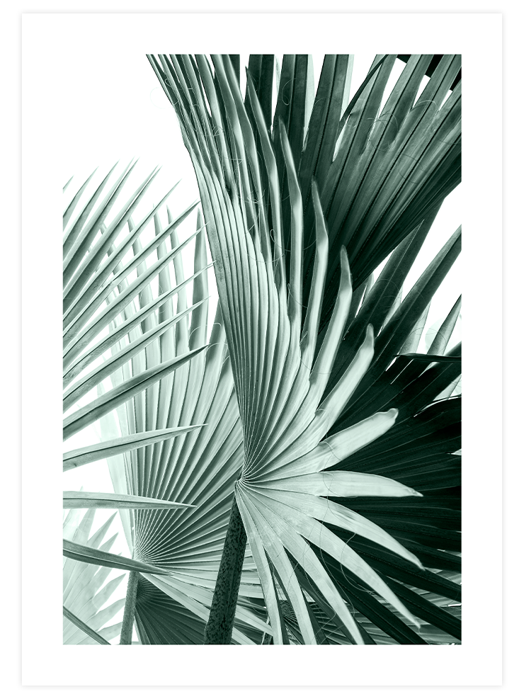 Estetizm - Poster Seti Duo