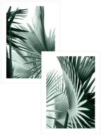 Estetizm - Poster Seti Duo