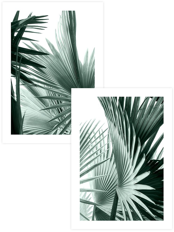 Estetizm - Poster Seti Duo