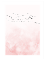 Abstract Rose - Poster Seti Duo