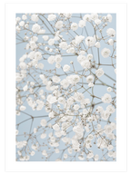 Beige & Blue - Poster Seti Duo