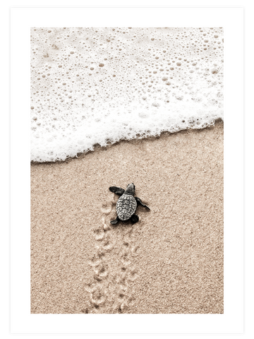 Petit Coin de Paradis Poster Seti