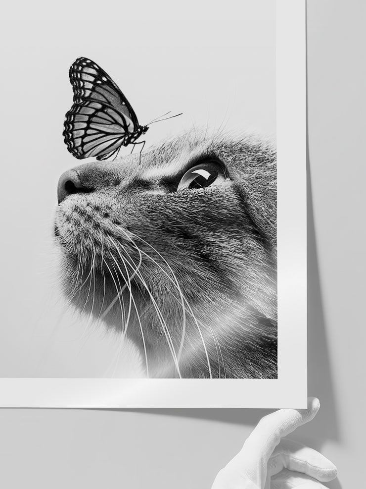 Kedi - Art Print  Poster