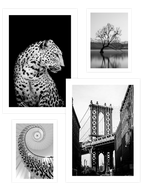 Siyah Beyaz Poster Seti