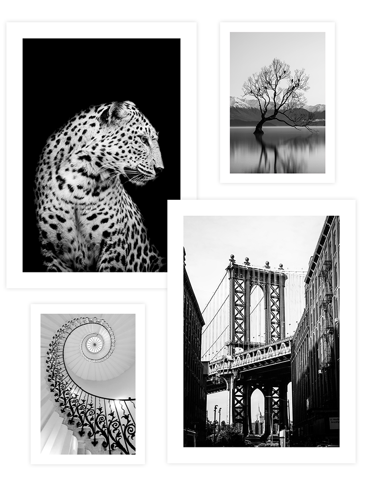 Siyah Beyaz Poster Seti