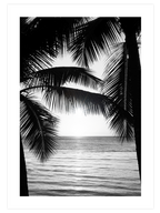 Chill Out Poster Seti