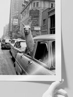 İkonik Lama - Art Print