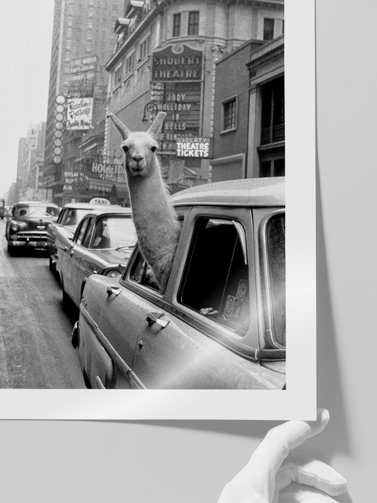 İkonik Lama - Art Print