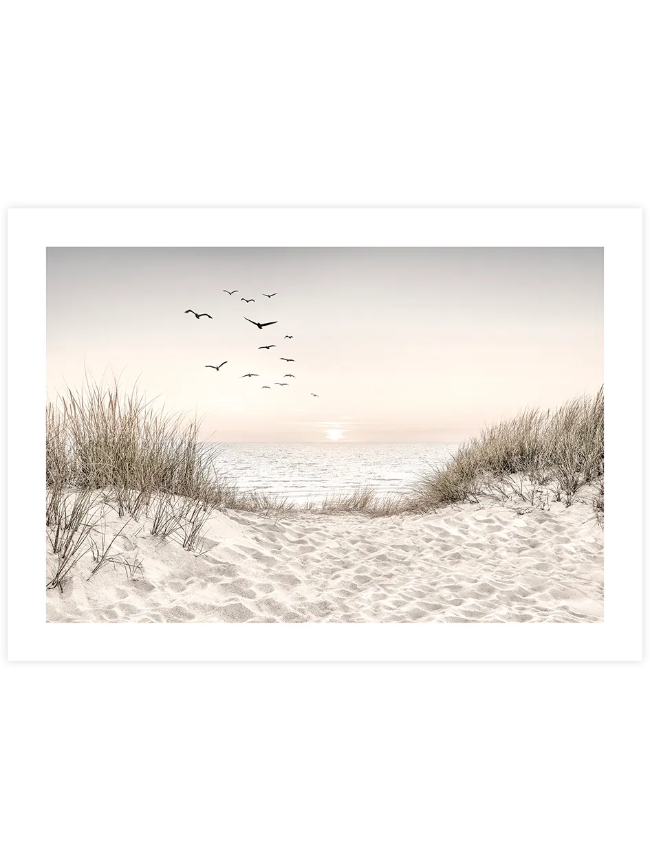 Sunset - Art Print