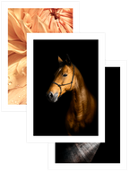 Clair Obscur - Poster Seti Trio