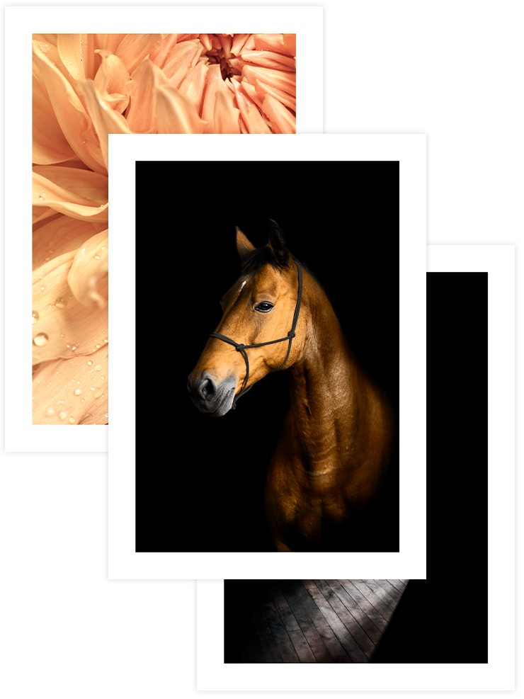 Clair Obscur - Poster Seti Trio