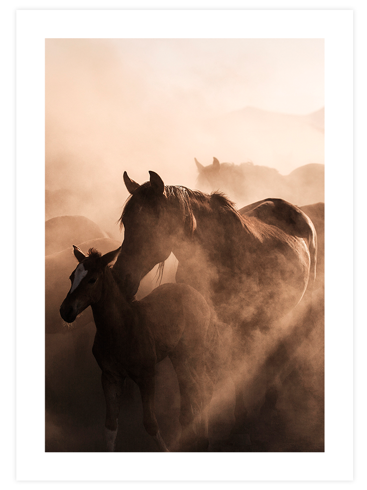 Anne At ve Tay - Art Print Ürün ana görseli