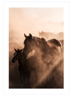 Anne At ve Tay - Art Print