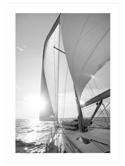 Black & White Elegance Poster Seti