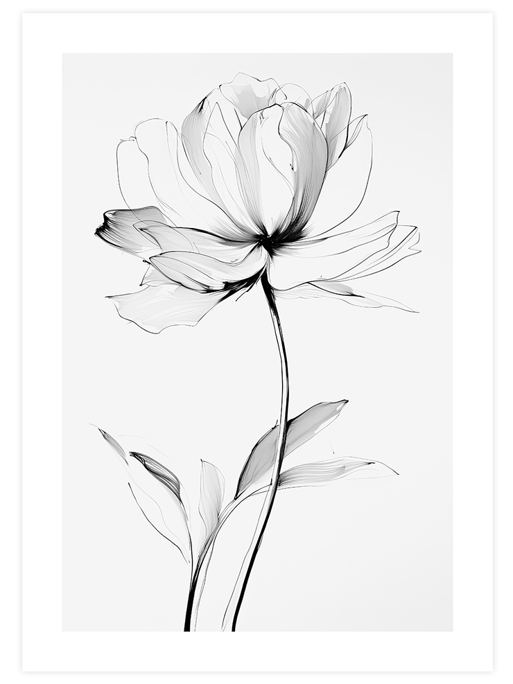 Transparencia N2 - Art Print Ürün ana görseli