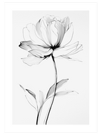 Transparencia N2 - Art Print