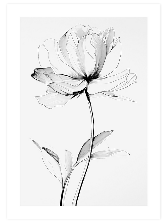 Transparencia N2 - Art Print