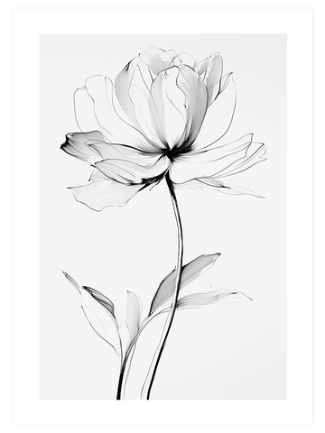 Transparencia N2 - Art Print