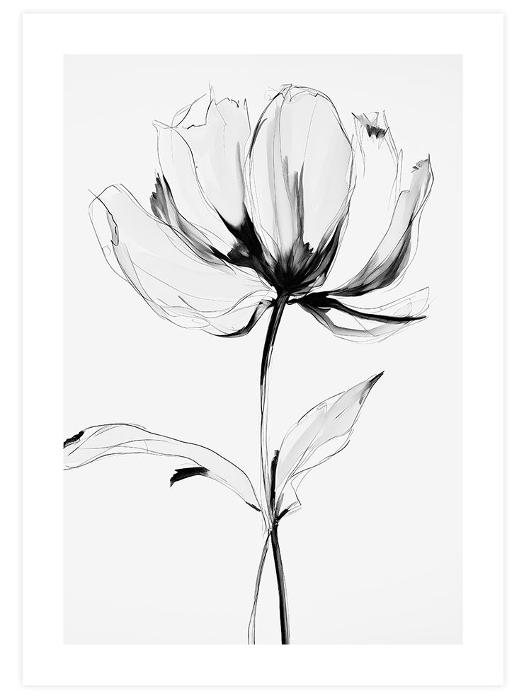 Transparencia - Art Print