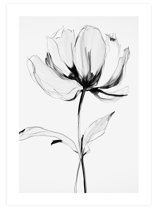 Transparencia - Art Print