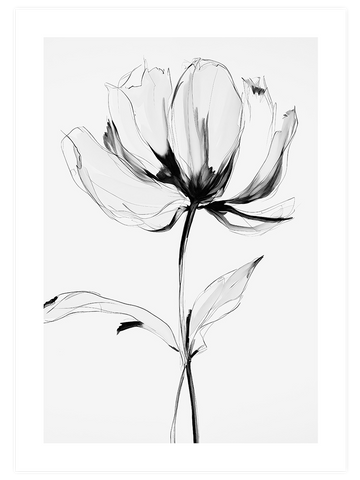 Transparencia - Art Print