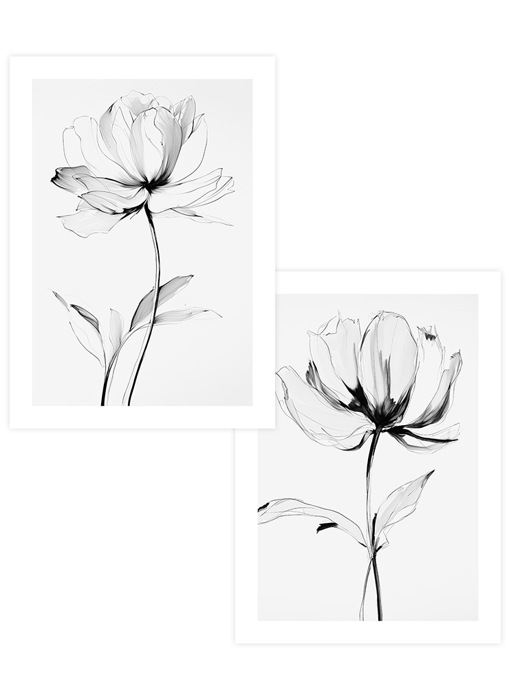 Transparencia - Poster Seti Duo