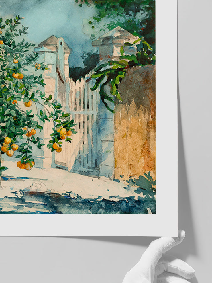 Winslow Homer Orange Trees and Gate - Art Print