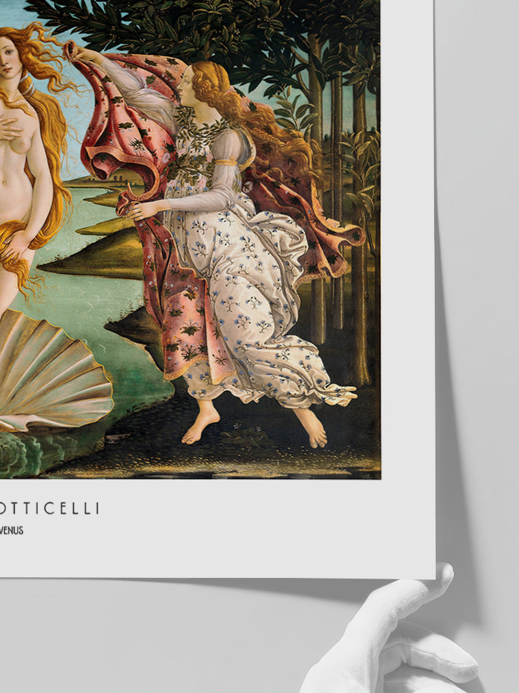 Botticelli The Birth Of Venus (Venüs’ün Doğuşu) - Art Print  Poster