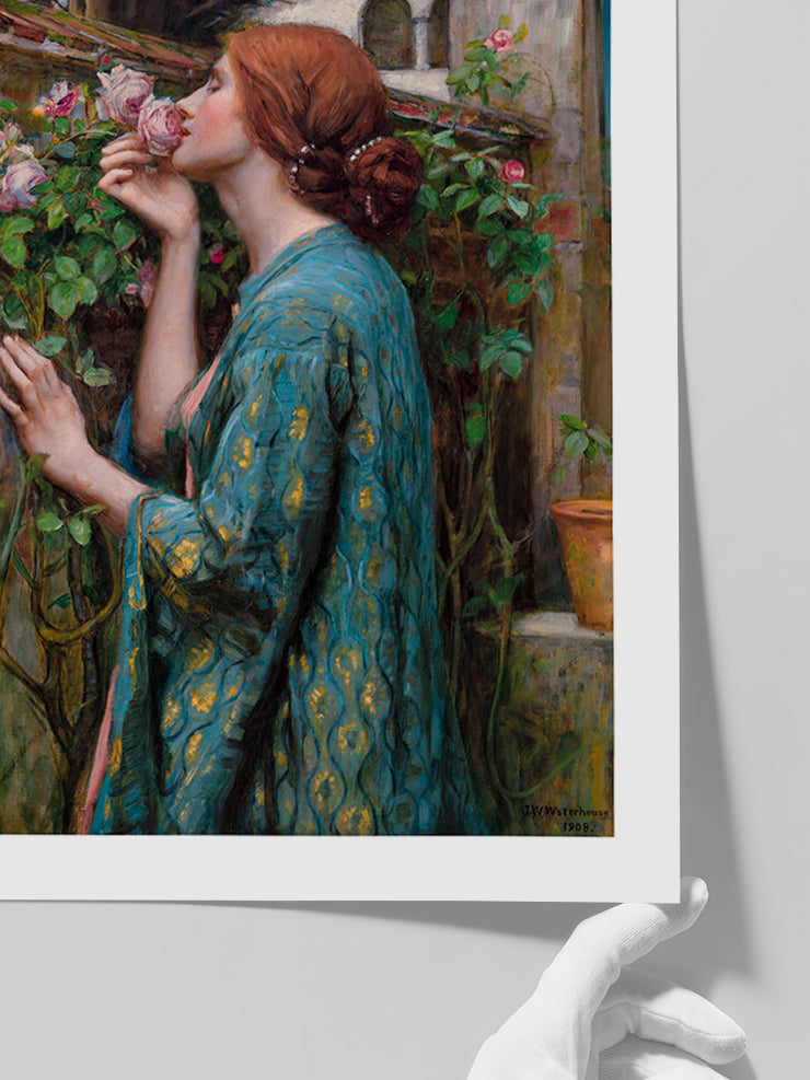 William Waterhouse My Sweet Rose - Art Print