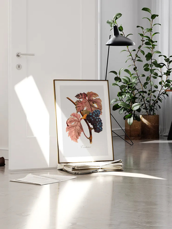 Üzüm - Art Print