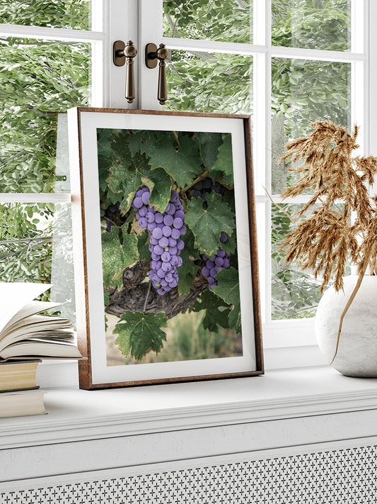 Mavi Üzüm Salkımı - Art Print