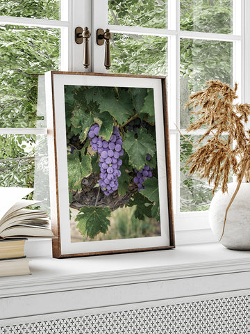 Mavi Üzüm Salkımı - Art Print