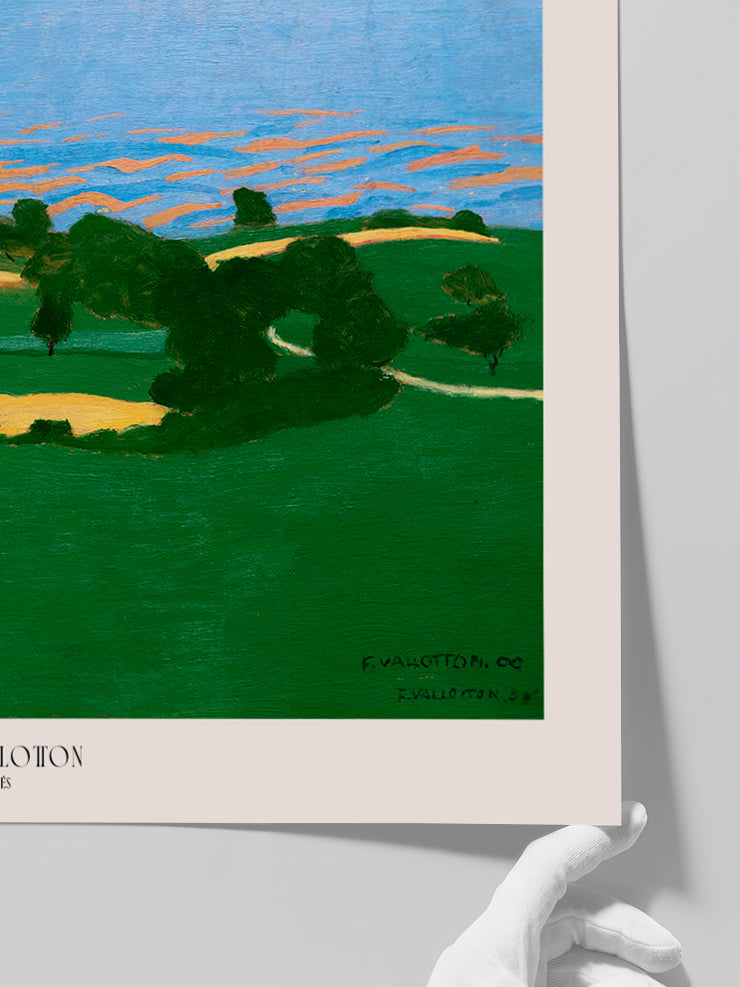 Felix Vallotton Corn Fields - Art Print  Poster