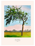 Félix Vallotton Le Pommier, Varengeville - Art Print