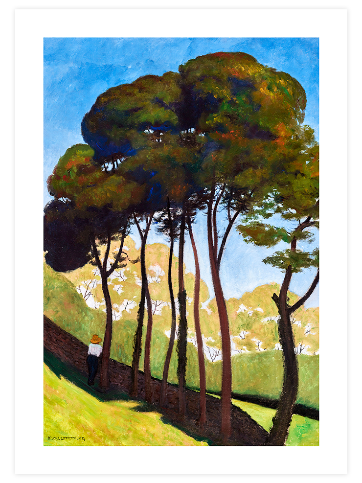 Félix Vallotton The Big Trees, Around Honfleur - Art Print