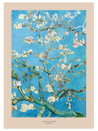 Van Gogh Almond Blossoms - Art Print