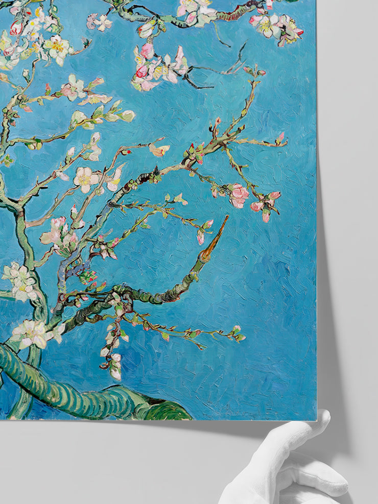van Gogh Almond Blossoms - Art Print  Poster