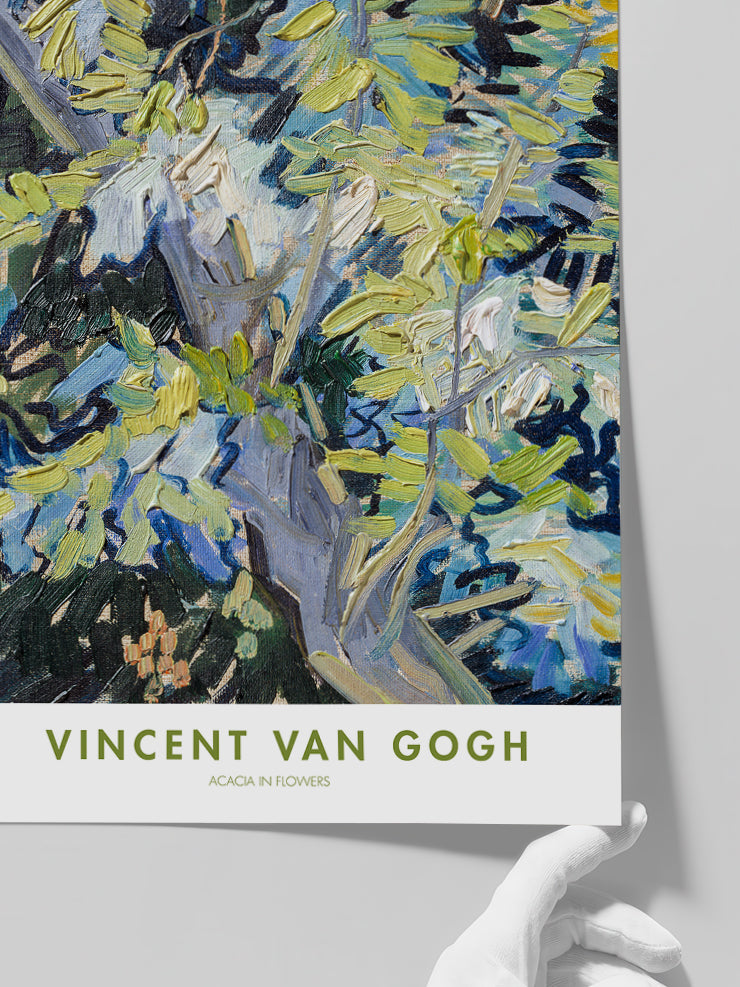 Van Gogh Acacia in Flowers - Art Print  Poster