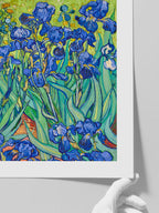 Van Gogh Irises - Art Print